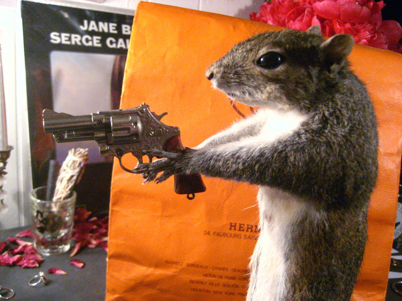 Illustration for article titled Taxidermy Driver